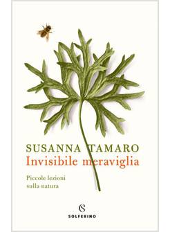 INVISIBILE MERAVIGLIA PICCOLE LEZIONI SULLA NATURA