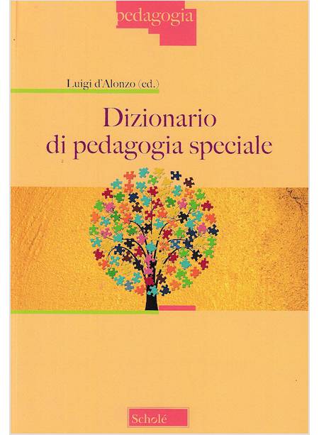 DIZIONARIO DI PEDAGOGIA SPECIALE 