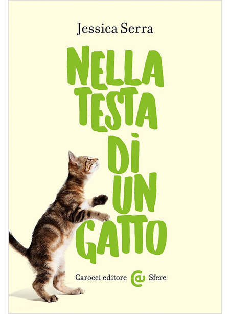 NELLA TESTA DI UN GATTO