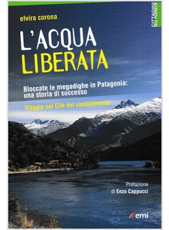 L'ACQUA LIBERATA. BLOCCATE LE MEGADIGHE IN PATAGONIA: UNA STORIA DI SUCCESSO