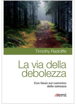LA VIA DELLA DEBOLEZZA. CON GESU' SUL CAMMINO DELLA SALVEZZA 