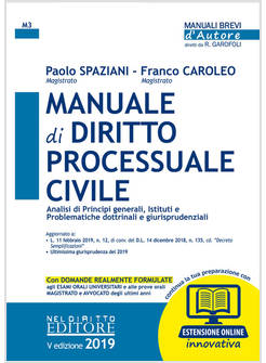MANUALE DI DIRITTO PROCESSUALE CIVILE. CON AGGIORNAMENTO ONLINE