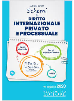 SCHEMI DI DIRITTO INTERNAZIONALE PRIVATO E PROCESSUALE