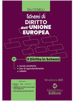 SCHEMI DI DIRITTO DELL'UNIONE EUROPEA
