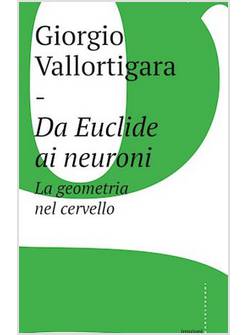 DA EUCLIDE AI NEURONI. LA GEOMETRIA NEL CERVELLO