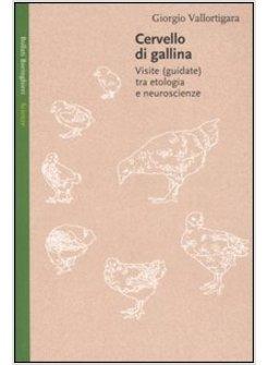 CERVELLO DI GALLINA 