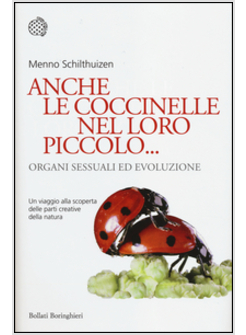 ANCHE LE COCCINELLE NEL LORO PICCOLO... ORGANI SESSUALI E EVOLUZIONE 