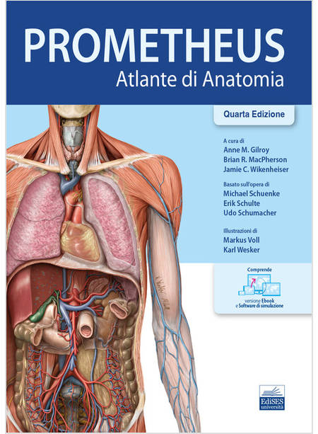 PROMETHEUS. ATLANTE DI ANATOMIA