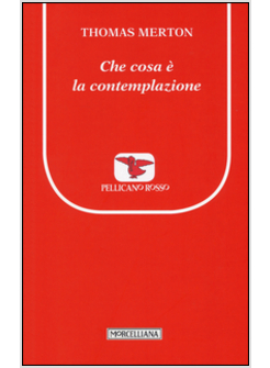 CHE COSA E' LA CONTEMPLAZIONE