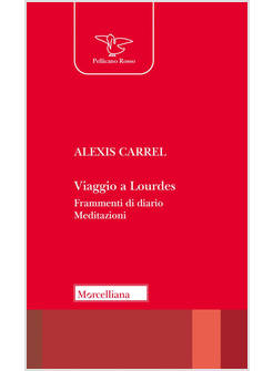 VIAGGIO A LOURDES FRAMMENTI DI DIARIO. MEDITAZIONI
