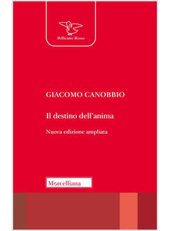 IL DESTINO DELL'ANIMA ELEMENTI PER UNA TEOLOGIA NUOVA EDIZIONE AMPLIATA