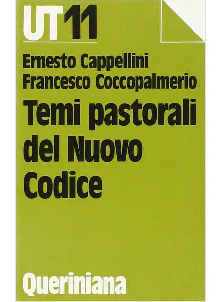 TEMI PASTORALI DEL NUOVO CODICE