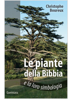 LE PIANTE DELLA BIBBIA E LA LORO SIMBOLOGIA