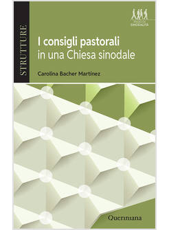 CONSIGLI PASTORALI IN UNA CHIESA SINODALE (I)