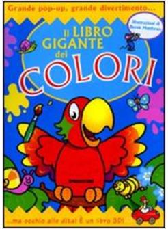 LIBRO GIGANTE DEI COLORI (IL)