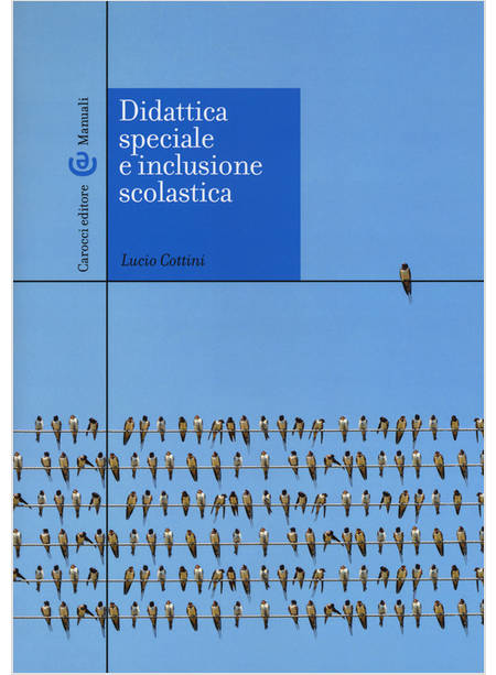 DIDATTICA SPECIALE E INCLUSIONE SCOLASTICA