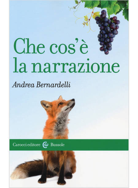 CHE COS'E' LA NARRAZIONE