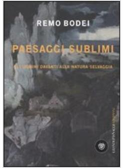 PAESAGGI SUBLIMI GLI UOMINI DAVANTI  ALLA NATURA SELVAGGIA