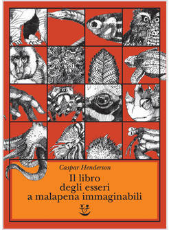 IL LIBRO DEGLI ESSERI A MALAPENA IMMAGINATI