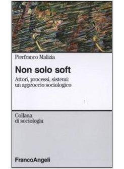 NON SOLO SOFT ATTORI PROCESSI SISTEMI UN APPROCCIO SOCIOLOGICO