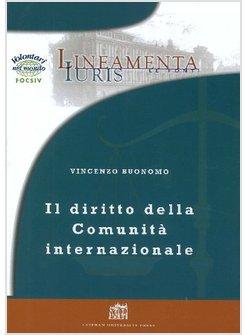 DIRITTO DELLA COMUNITA' INTERNAZIONALE PRINCIPI E REGOLE PER LA GOVERNANCE (IL)