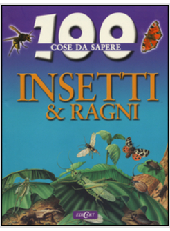 INSETTI E RAGNI