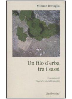 UN FILO D'ERBA TRA I SASSI