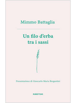 UN FILO D'ERBA TRA I SASSI