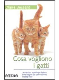 COSA VOGLIONO I GATTI