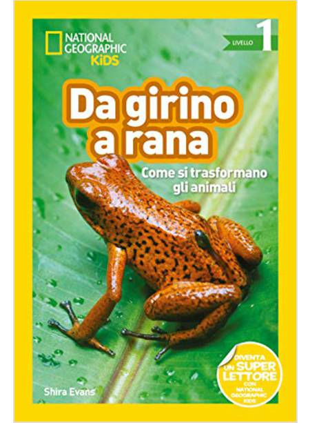 DA GIRINO A RANA COME SI TRASFORMANO GLI ANIMALI LIVELLO 1