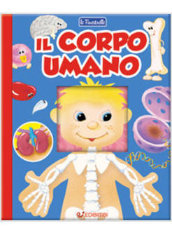 CORPO UMANO. FINESTRELLE (IL)