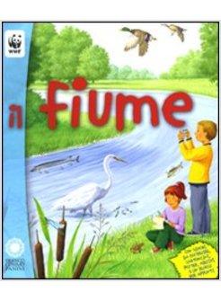 FIUME (IL)