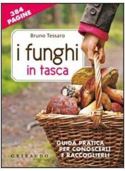 FUNGHI IN TASCA. GUIDA PRATICA PER CONOSCERLI E RACCOGLIERLI. CON GADGET (I)
