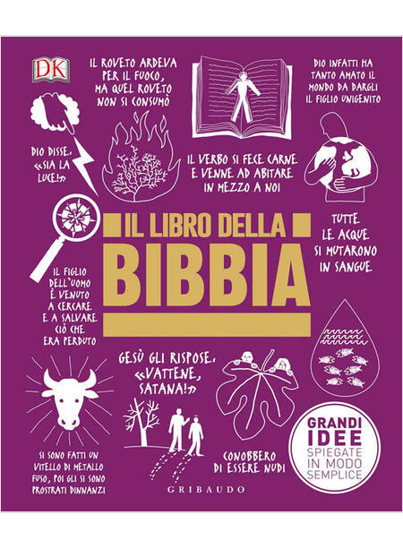 IL LIBRO DELLA BIBBIA. GRANDI IDEE SPIEGATE IN MODO SEMPLICE 