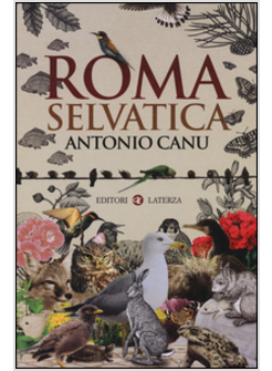 ROMA SELVATICA
