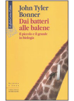 DAI BATTERI ALLE BALENE BLU IL PICCOLO E IL GRANDE IN BIOLOGIA