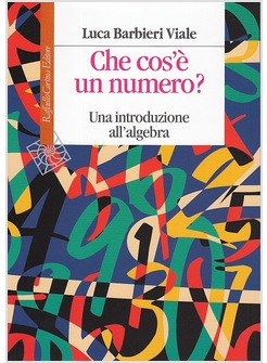 CHE COS'E' UN NUMERO? UNA INTRODUZIONE ALL'ALGEBRA