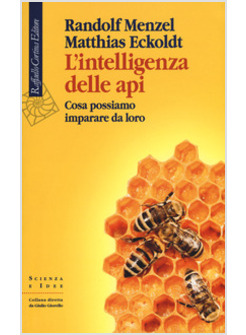 L'INTELLIGENZA DELLE API. COSA POSSIAMO IMPARARE DA LORO