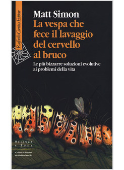 LA VESPA CHE FECE IL LAVAGGIO DEL CERVELLO AL BRUCO 