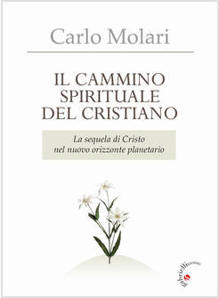IL CAMMINO SPIRITUALE DEL CRISTIANO. LA SEQUELA DI CRISTO