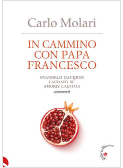 IN CAMMINO CON PAPA FRANCESCO EVANGELII GAUDIUM LAUDATO SI'MAMORIS LAETITIA.