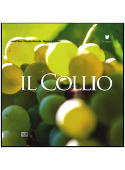 COLLIO (IL)
