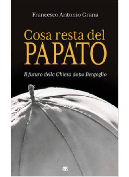 COSA RESTA DEL PAPATO IL FUTURO DELLA CHIESA DOPO BERGOGLIO