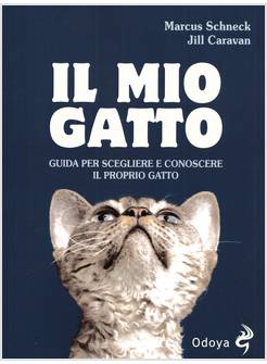 IL MIO GATTO 