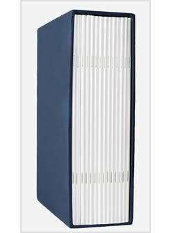 MARIA, AGNELLA SENZA MACCHIA TEMI MARIANI PER CELEBRAZIONI COMUNITARIE COFANETTO