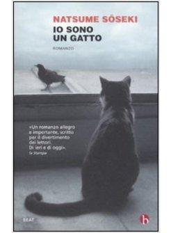 IO SONO UN GATTO