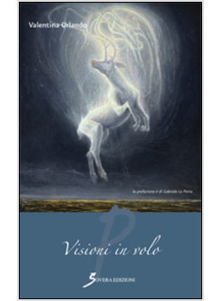 VISIONI IN VOLO