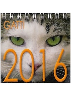 CALENDARIO CM 8 X 8 GATTI 2016