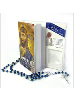 EVANGELIOS Y LOS HECHOS DE LOS APOSTOLES SPAGNOLO