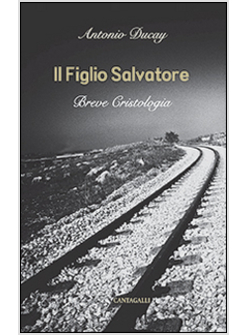 IL FIGLIO SALVATORE BREVE CRISTOLOGIA